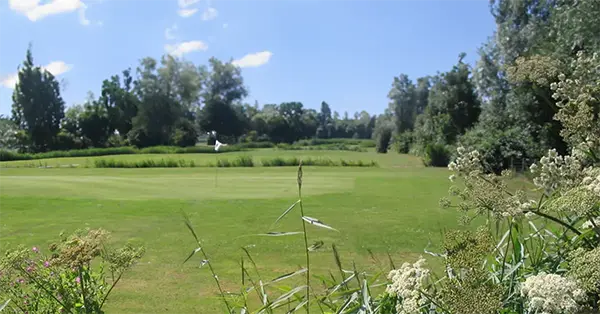 GB AMVJ Golf