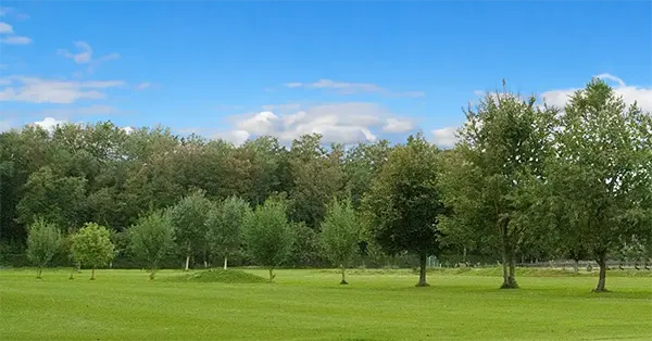 GB Golfclub Mariënweide