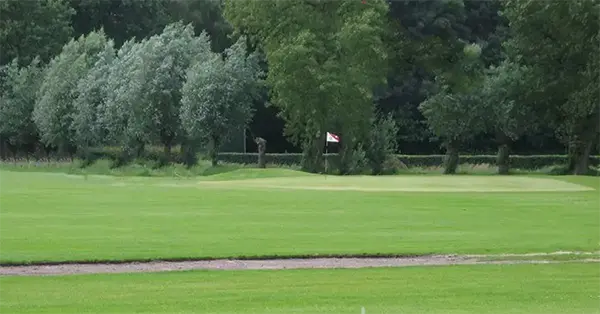 GB Haagsche Countryclub groen-geel