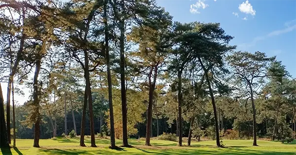 GB Hilversumsche Golf Club