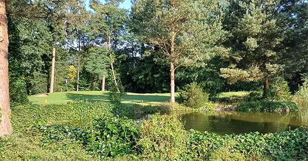 GB Doornse golfclub