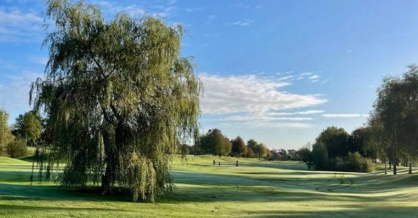 actie de golfhorst