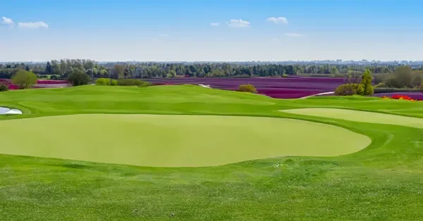 ondek golf op tespelduyn