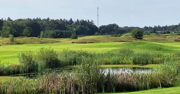 gb de swinkelsche golfbaan.webp